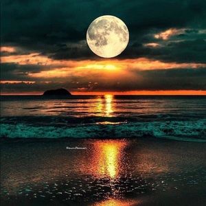 Meet your Posher, Mikhail